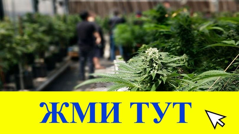 Купить наркотики в Электроуглях